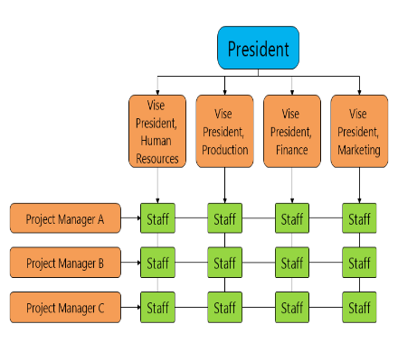 Matrix Organization Chart